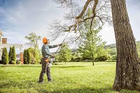 Best Emergency Tree Removal  in Prior Lake, MN