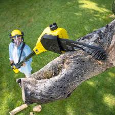 Best Hazardous Tree Removal  in Prior Lake, MN