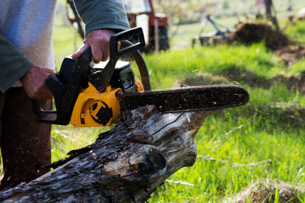 Best Lawn Mowing  in Prior Lake, MN